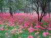 img0002.jpg