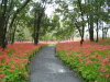 img0007.jpg
