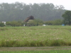 img0008.jpg