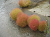 img0012.jpg