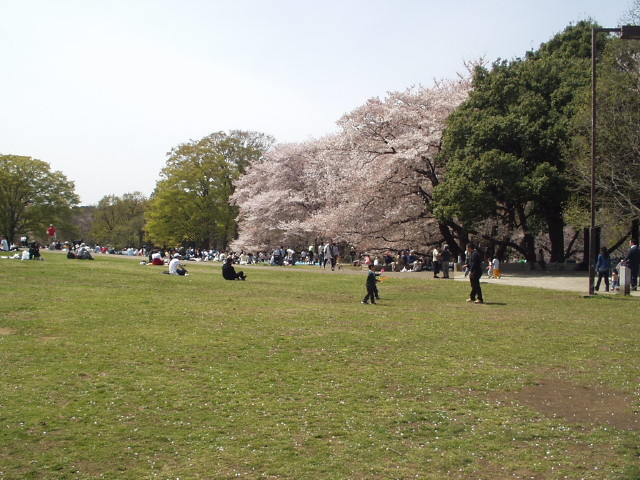 img0002.jpg