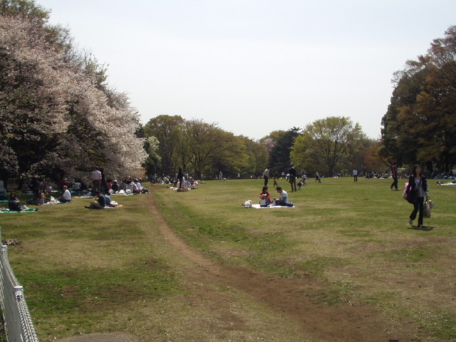 img0003.jpg
