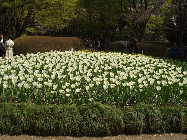 img0005.jpg