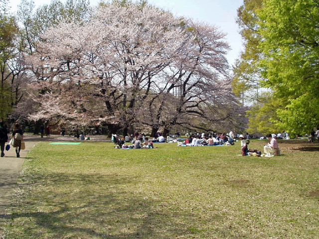 img0006.jpg