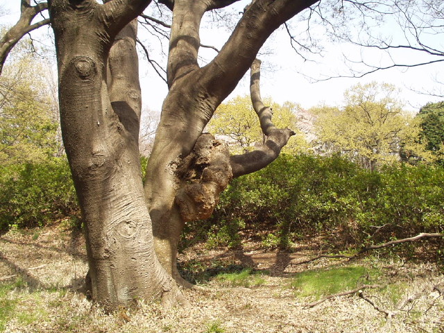img0007.jpg