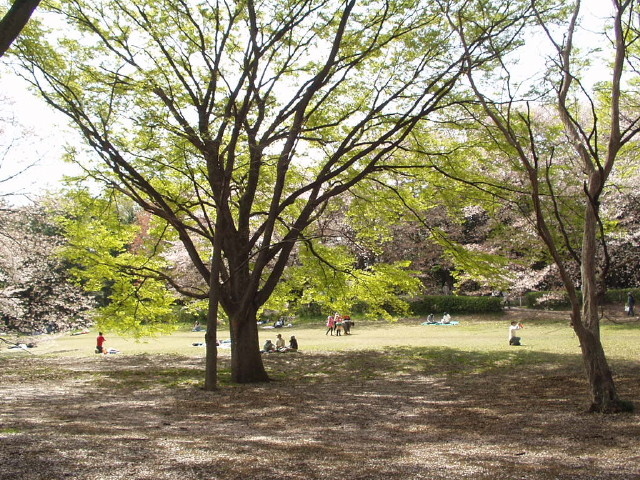 img0008.jpg