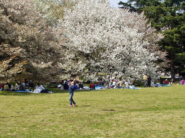 img0009.jpg