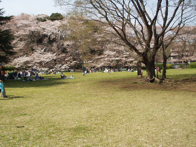 img0010.jpg