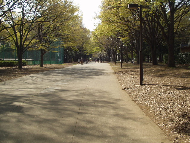 img0012.jpg