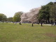 img0002.jpg