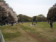 img0003.jpg