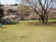 img0010.jpg