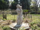 img0011.jpg