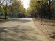 img0012.jpg