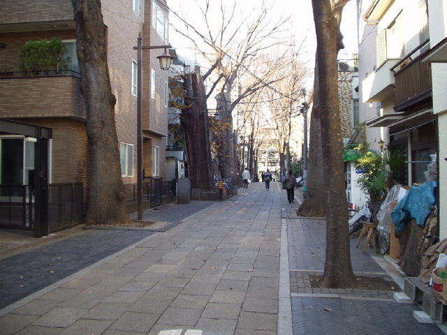 img0001.jpg