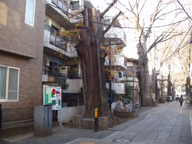 img0002.jpg