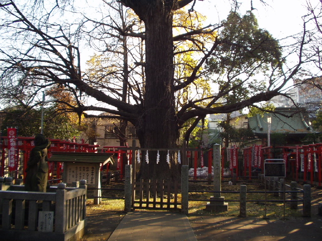 img0005.jpg