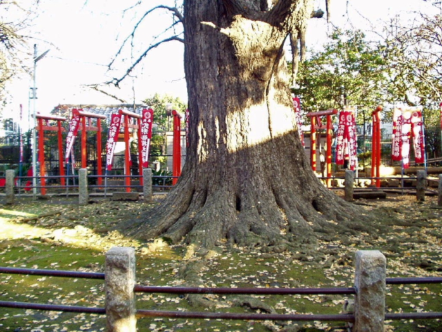 img0009.jpg