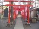img0008.jpg