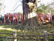 img0009.jpg