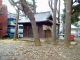 img0010.jpg