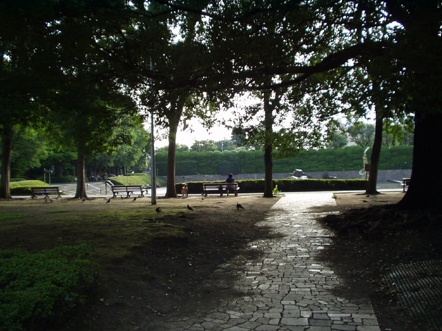 img0005.jpg