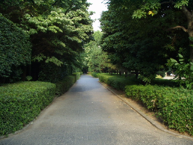 img0014.jpg