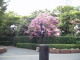 img0003.jpg