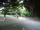 img0009.jpg