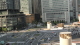 img0009.jpg