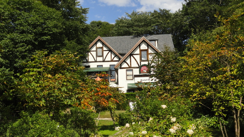 img0021.jpg