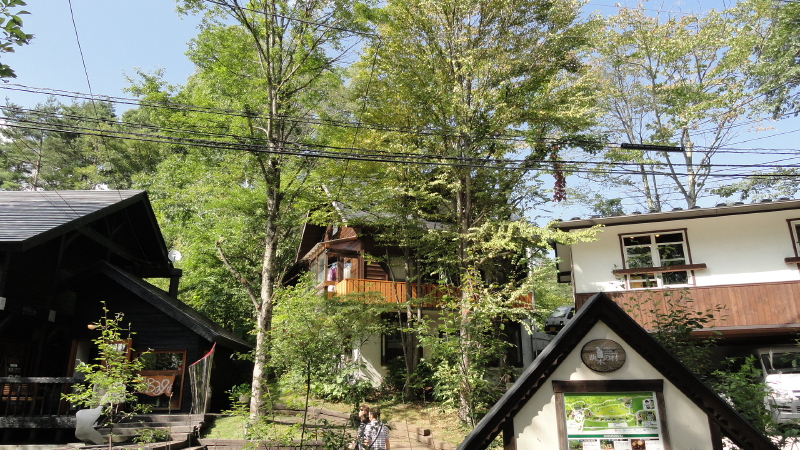 img0029.jpg