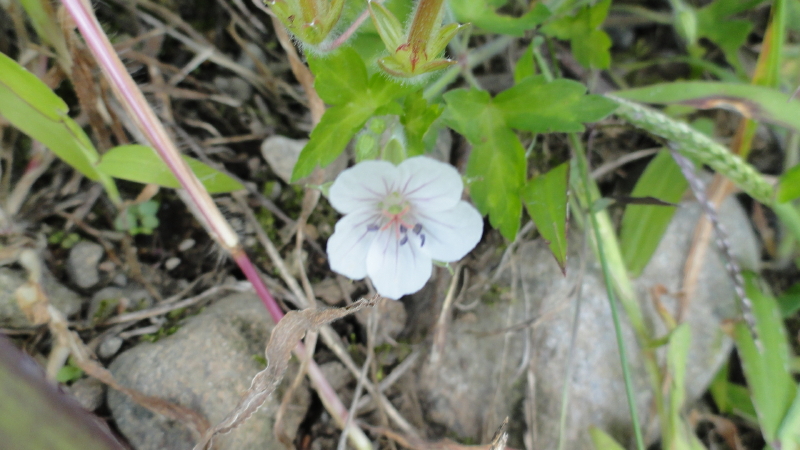img0038.jpg
