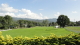 img0024.jpg
