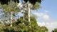 img0049.jpg
