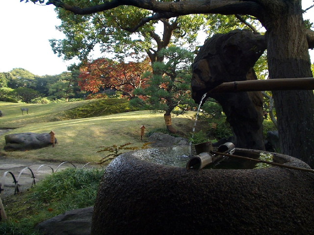 img0001.jpg