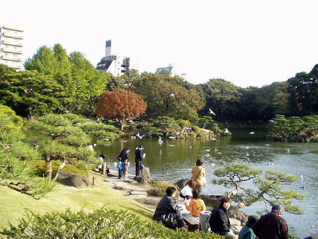 img0005.jpg