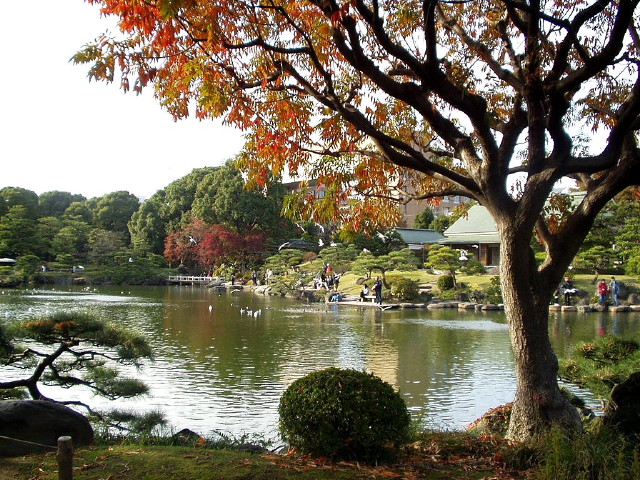 img0009.jpg