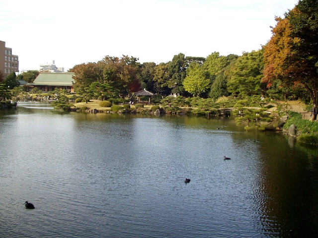 img0013.jpg