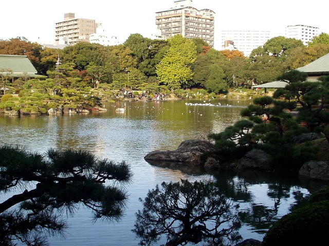 img0015.jpg