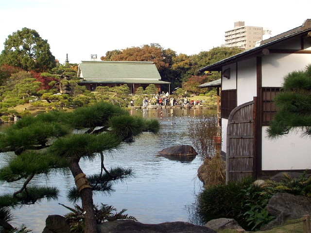 img0016.jpg