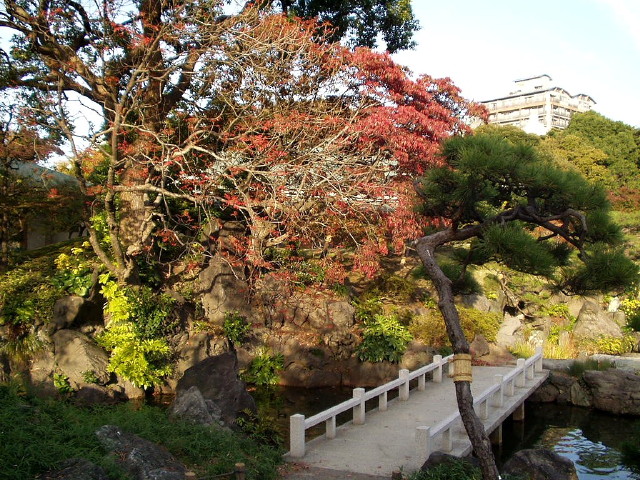 img0020.jpg