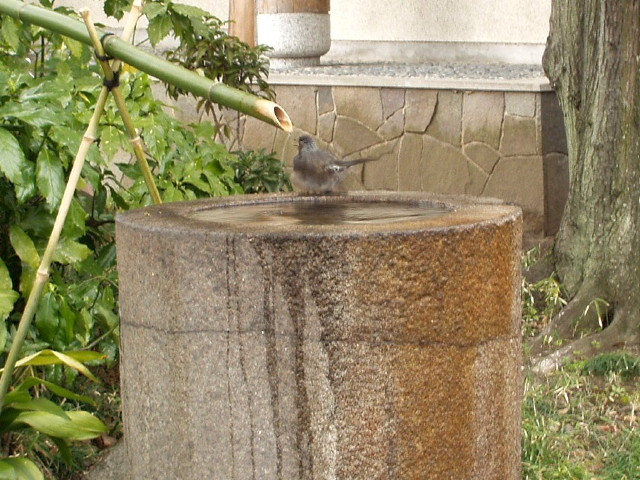 img0027.jpg