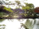 img0007.jpg