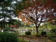 img0008.jpg