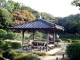 img0011.jpg