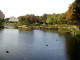 img0013.jpg