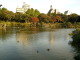 img0019.jpg