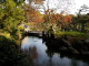 img0021.jpg