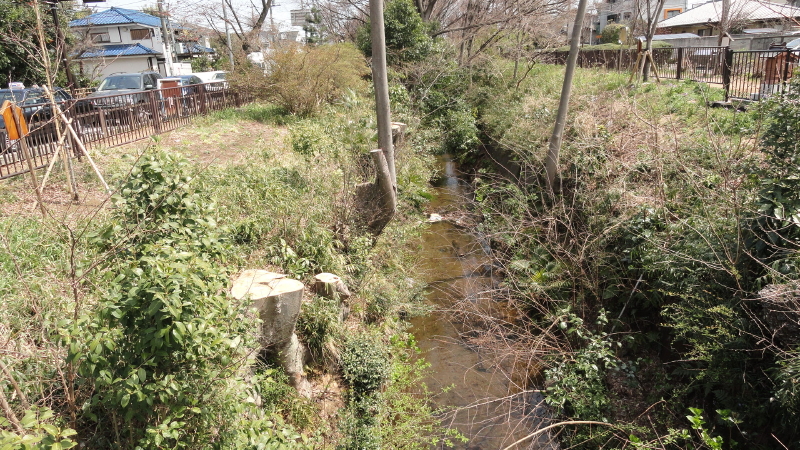 img0005.jpg